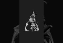 3D Modeling | com4_0171 | Zbrush Timelapse | #zbrush #3dmodeling #3d #character #creature #shorts
