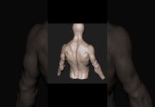 Shoulder retraction anatomy #zbrush #3d #3danimation #3dart #tutorial #timelapse #anatomy #animation