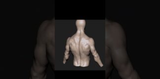 Shoulder retraction anatomy #zbrush #3d #3danimation #3dart #tutorial #timelapse #anatomy #animation