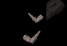 Arm anatomy study #zbrush #3d #3danimation #3dart #tutorial #timelapse