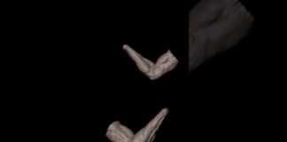 Arm anatomy study #zbrush #3d #3danimation #3dart #tutorial #timelapse