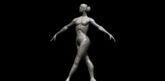 30 Minutes Zbrush Sculpting 554